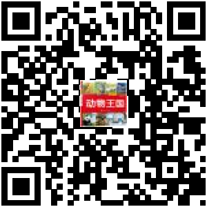 商品二维码